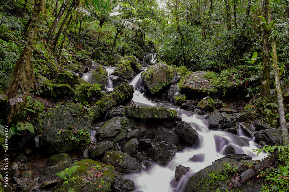 Rocky Waterfall in the El Yunque rain forest of Puerto Rico
