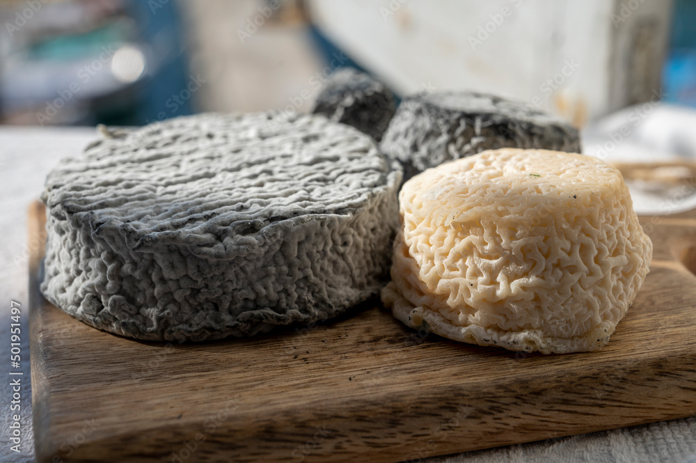French goat cheeses crottin and selles-sur-cher served with view on boats in harbor of Cassis, Provence, France French goat cheeses crottin and selles-sur-cher served with view on boats in harbor of Cassis, Provence, France
