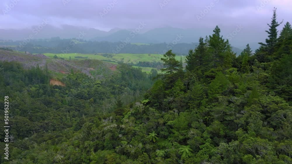 Aerial: Coromandel forest landscape Aerial: Coromandel forest landscape
