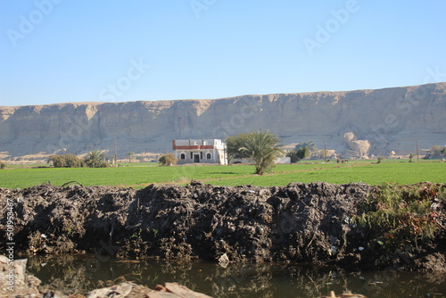 A green farm with trees and agriculture in Minya with mountain in the back in jabal el tayr in Egypt photo