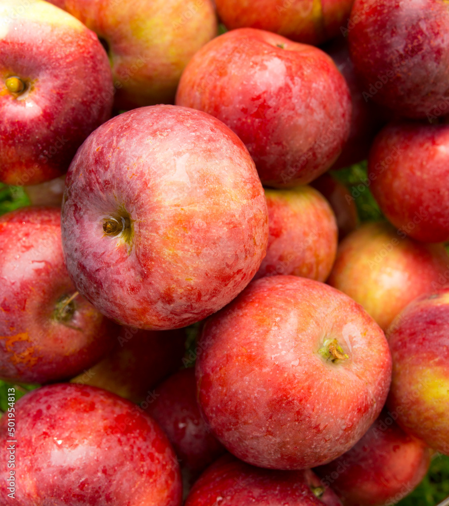 red apple freshly picked naturally lies on the background of apples red apple freshly picked naturally lies on the background of apples