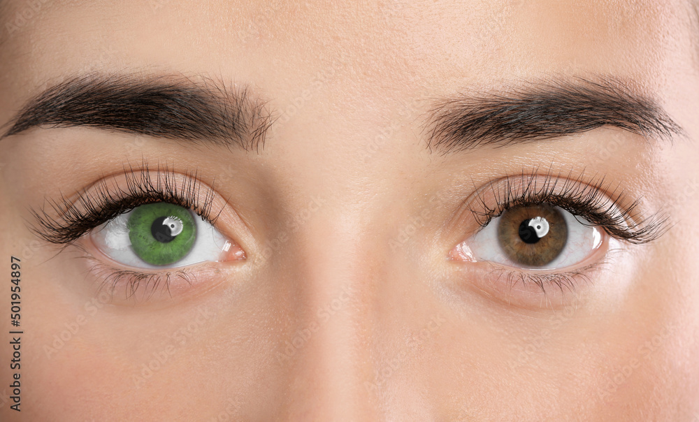 Fototapeta premium Woman with different colors of eyes, closeup. Heterochromia iridis