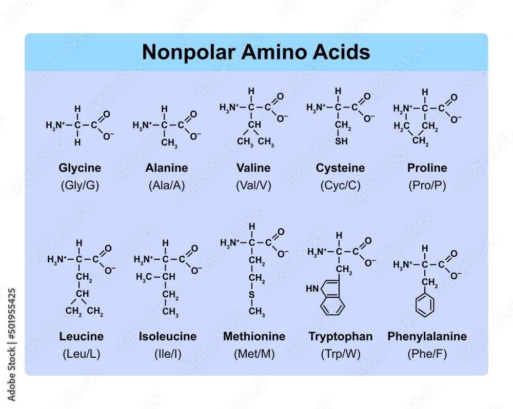 Amino Acids Types Table Showing The Chemical Structure Of Nonpolar