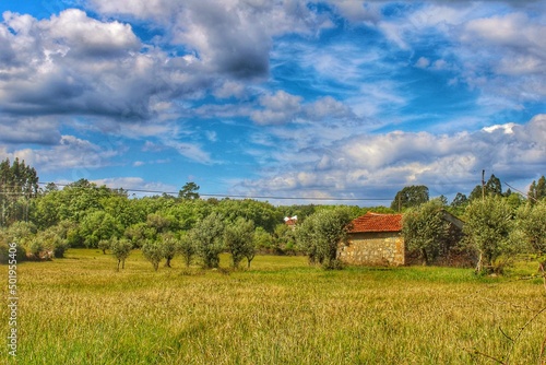 House in ruins in the middle of a field in the countryside with olive trees and blue cloudy sky