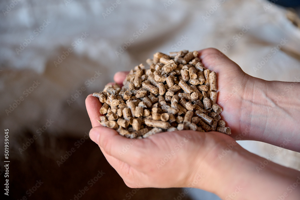 Wood pellets in the background. Biofuels. Cat litter. Man's hands. Wood pellets in the background. Biofuels. Cat litter. Man's hands.