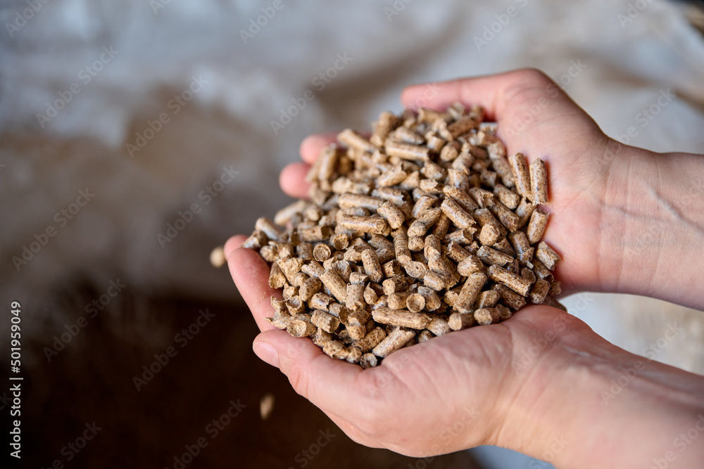 Wood pellets in the background. Biofuels. Cat litter. Man's hands. Wood pellets in the background. Biofuels. Cat litter. Man's hands.
