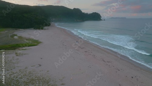 Beautiful Onemana beach, coromandel, New Zealand photo