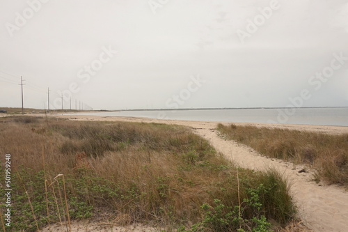 Sandy Path Through Grassy Dunes Facing Beach and Ocean Water in Daylight