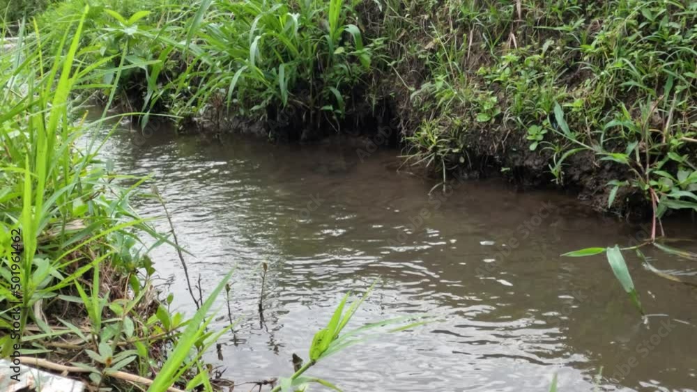 The water channel that divides the agricultural area, the water is still clean and is used to irrigate cultivated crops The water channel that divides the agricultural area, the water is still clean and is used to irrigate cultivated crops