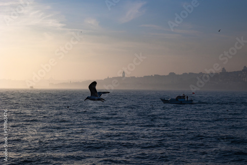 Istanbul view at foggy weather. Boat and seagull with cityscape of Istanbul