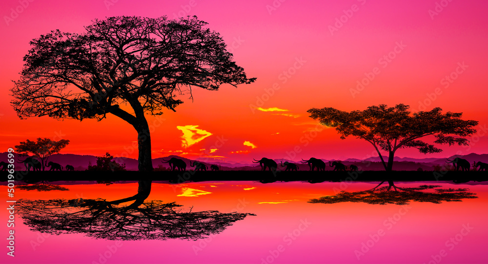 Obraz premium safari panoramic view, tree silhouette in africa with sunset, sunset dark trees on open field , amazing safari theme.