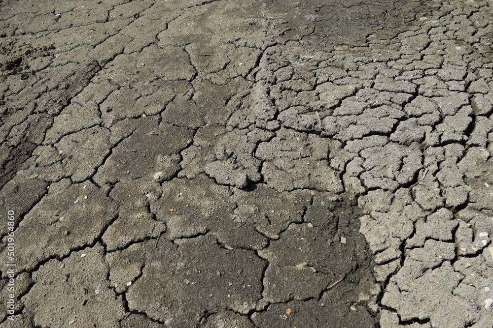 Cracked soil close up texture background Cracked soil close up texture background