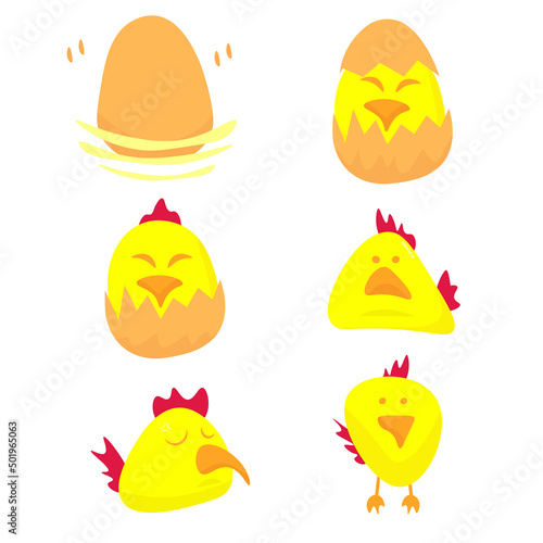 Chicken evolution.