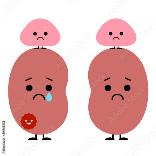癌ができてしまった腎臓、心配する副腎