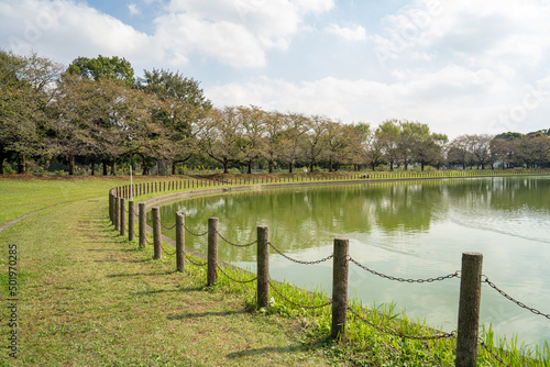 Wallpaper Mural 埼玉県 公園 越谷市 県民健康福祉村 風景 青空 池  Torontodigital.ca