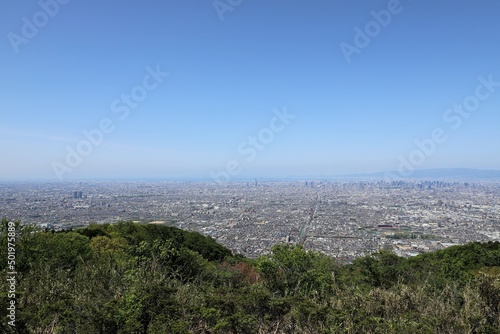 大阪府民の森　なるかわ園地のつつじ