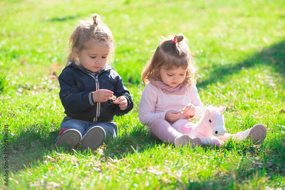 Cute boy and girl on summer field. Cute babys sit on green grass in summertime. Funny little kid on nature. Happy Childhood. Cute boy and girl on summer field. Cute babys sit on green grass in summertime. Funny little kid on nature. Happy Childhood.