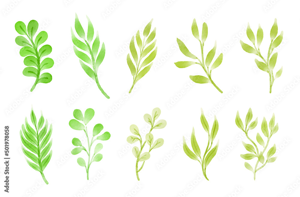 watercolor leaves illustration collection vector set