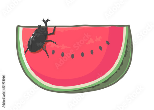 スイカとカブトムシのイラスト