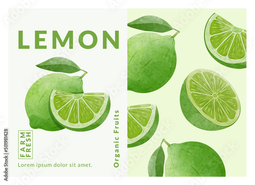 Lemon packaging design templates, watercolour style vector illustration.