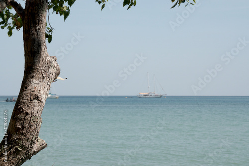 Landscape of Railay Beach blue sea in Railay Ao nang Krabi Thailand - sunny day summer