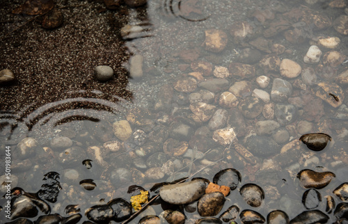 pebble stones in a puddle on a rainy day