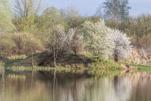 Kwitnące drzewa nad jeziorem wiosną