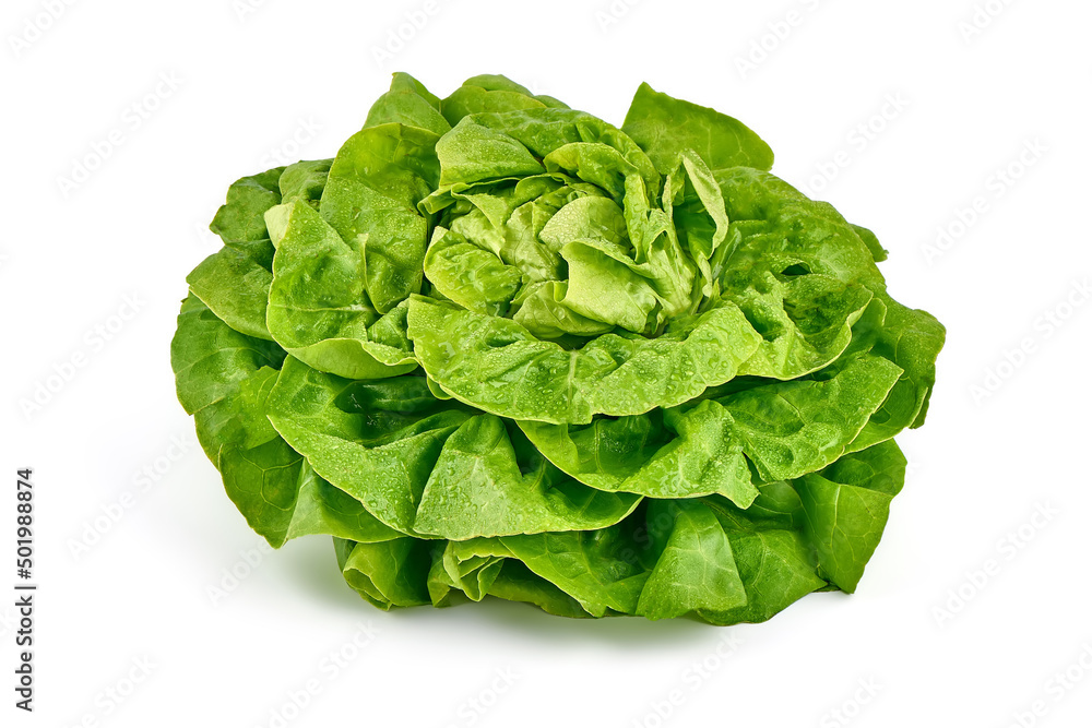 Fresh butter lettuce, isolated on white background. Fresh butter lettuce, isolated on white background.