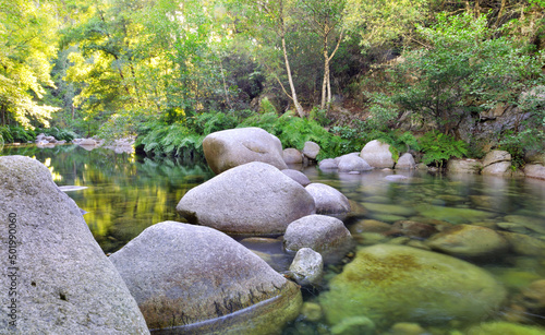 big rocks crossing a river in forest with clear water in Corsica
