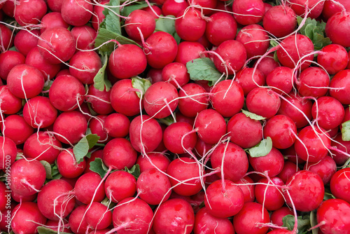 small red radishes with view from above