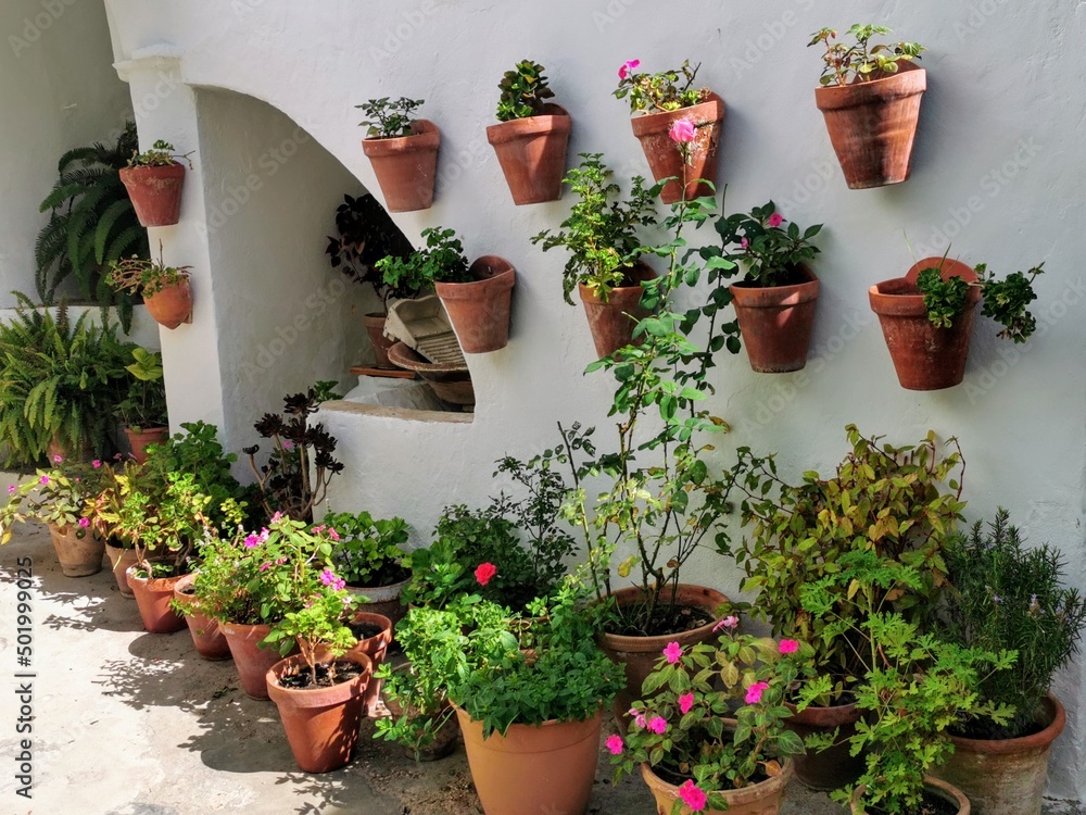 white wall with hanging flowerpots and on the floor with geraniums of various colours, typical Spanish.