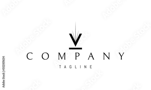 Vector logo on which an abstract image of the letter V with a shining star in the middle.