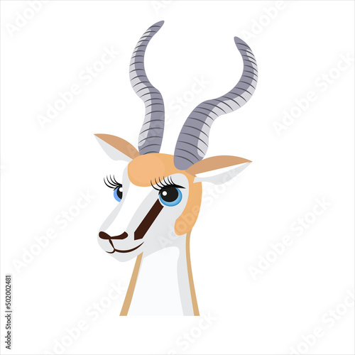 Springbok (South Africa National Animal)

