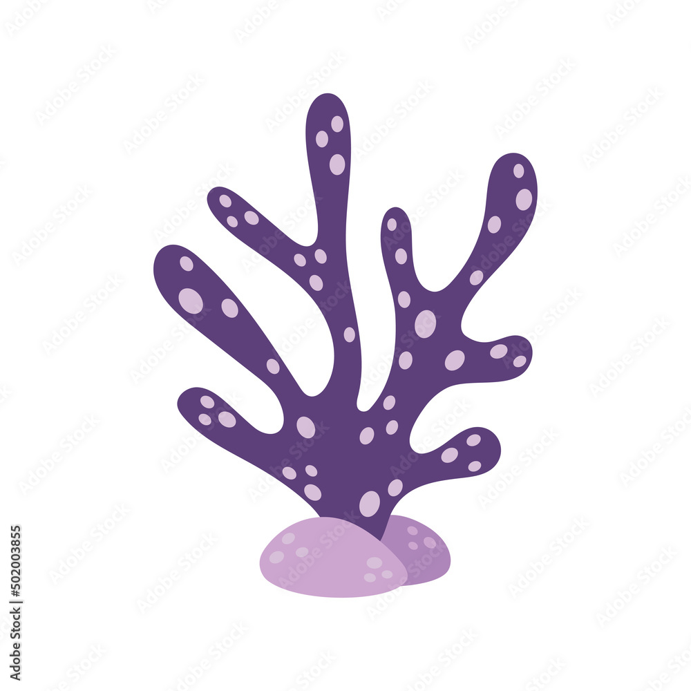 vector illustration with cute coral isolated on white vector illustration with cute coral isolated on white