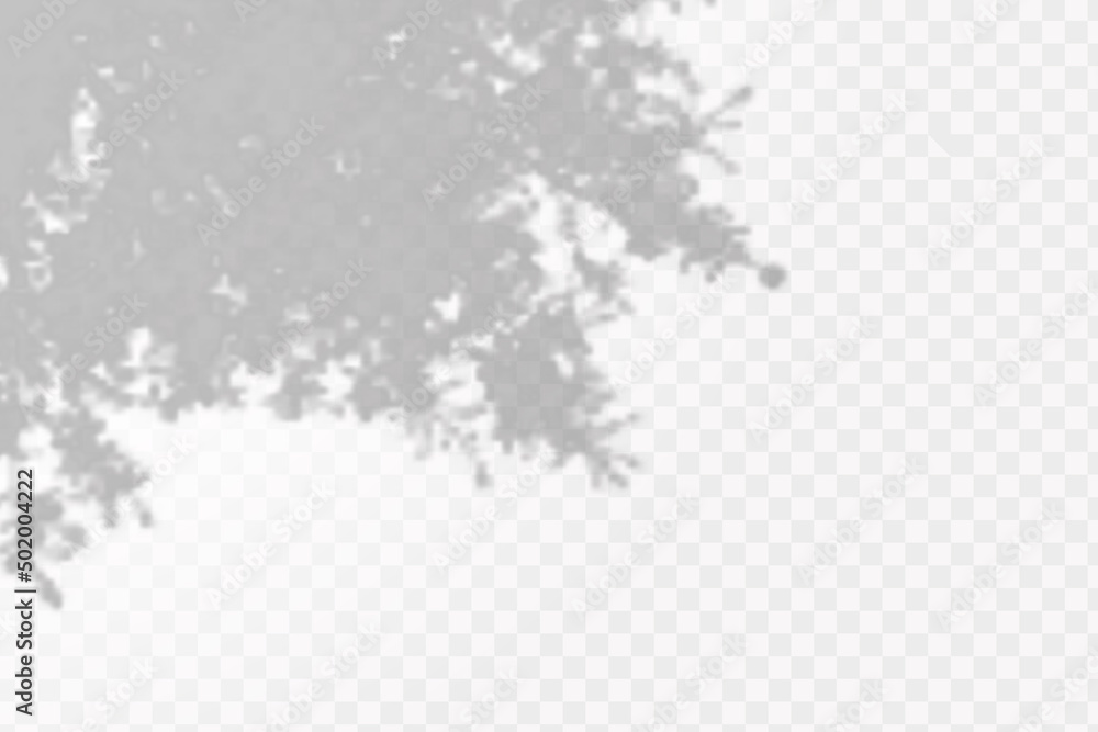 Realistic shadow tropical leaves and branches on transparent checkered background. The effect of overlaying shadows. Natural light layout. Realistic shadow tropical leaves and branches on transparent checkered background. The effect of overlaying shadows. Natural light layout.