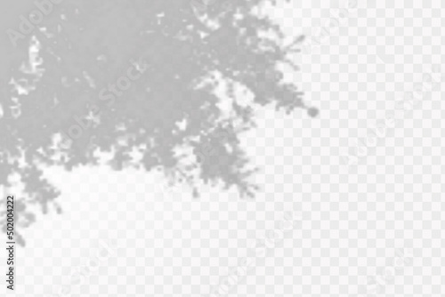 Realistic shadow tropical leaves and branches on transparent checkered background. The effect of overlaying shadows. Natural light layout.