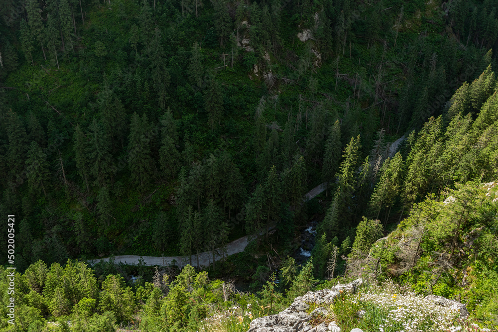 View from the trail to the Raptawicka cave on the Koscieliska valley and Koscieliski stream. Polish Western Tatras, Lesser Poland