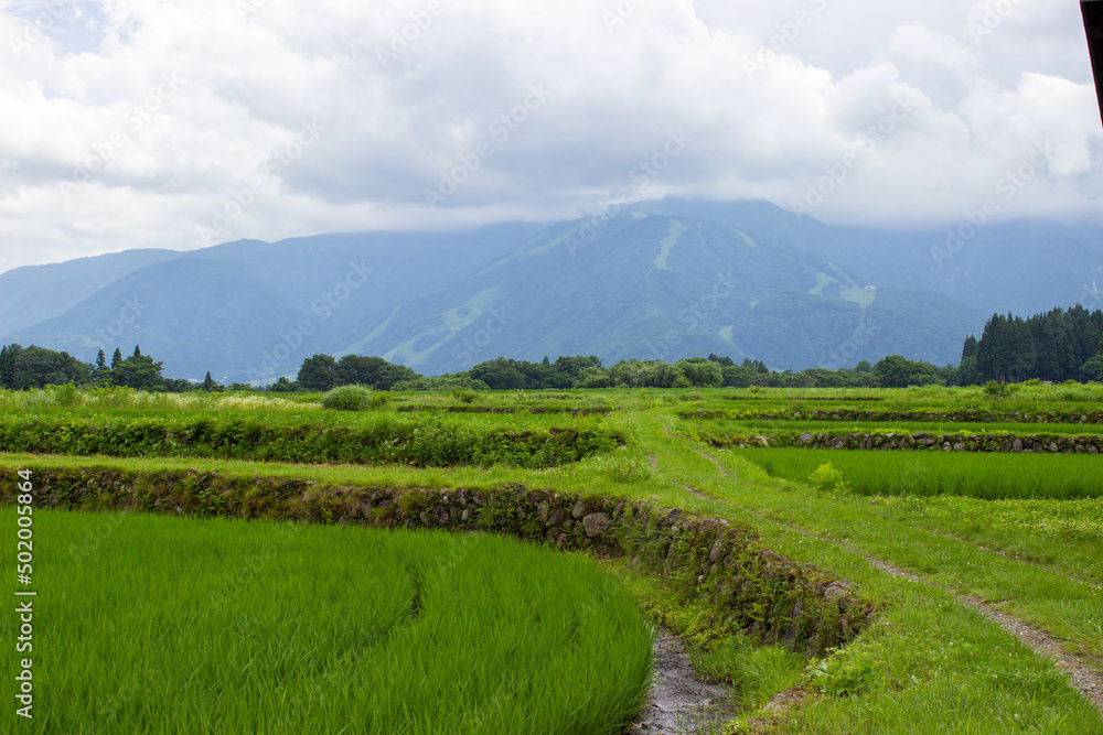 Obraz premium Terraced rice paddies piled with stones deep in the mountains