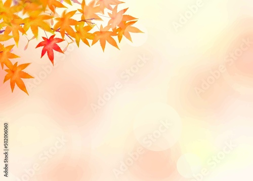 赤く紅葉した豪華絢爛美しい紅葉の葉のオシャレなベクターの和柄秋背景素材フレーム