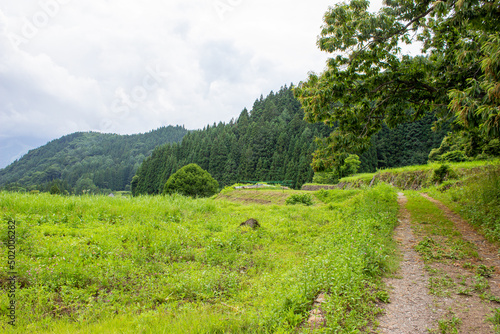 Terraced rice paddies piled with stones deep in the mountains