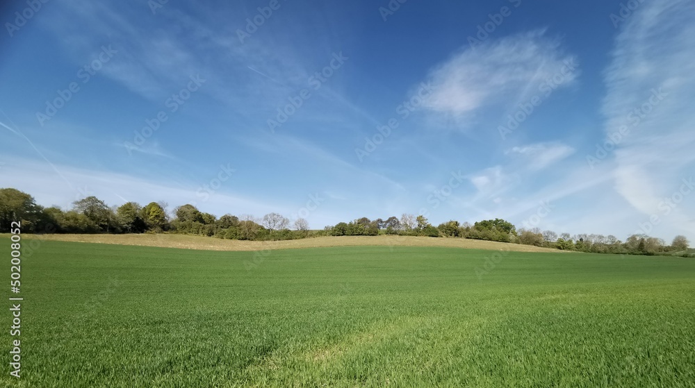 Blue cloudy sky background above green field with copy space