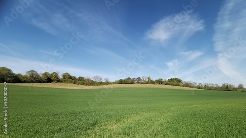 Blue cloudy sky background above green field with copy space