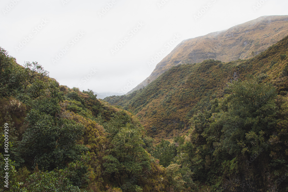 Pure and unspoilt nature on the long steep mountainsides around the Levada 25 fontes trail on the island of Madeira, Portugal. View of the jungle covered by fog