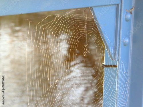 cobweb on a blue bridge