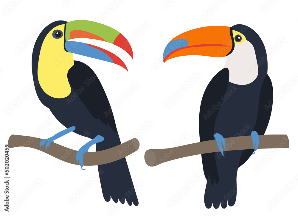 Fototapeta premium toucan on a branch flat design , isolated on white background, vector