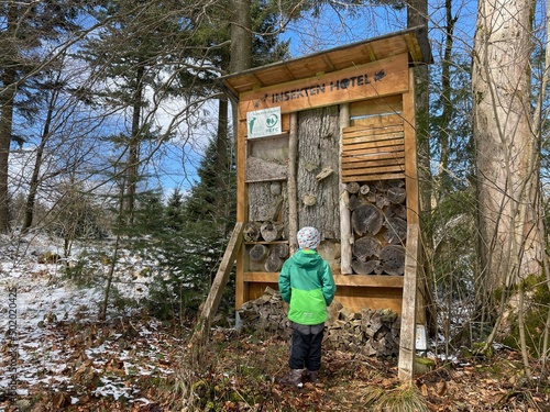 Insektenhotel im Thüringer Wald photo