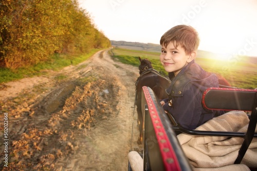 Cute little boy driving a horse carriage at the countryside.