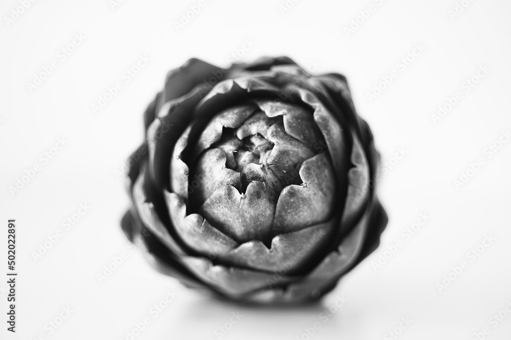 Fototapeta premium Artischocke im Detail, Cynara scolymus zur gesunden Ernährung, von oben gesehen
