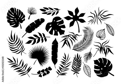Vector Palm leaf icons set. Black tropical plants leaves silhouette exotic collection. Monstera, fan palm, banana, eucalyptus, coconut palm leaves isolated on white background