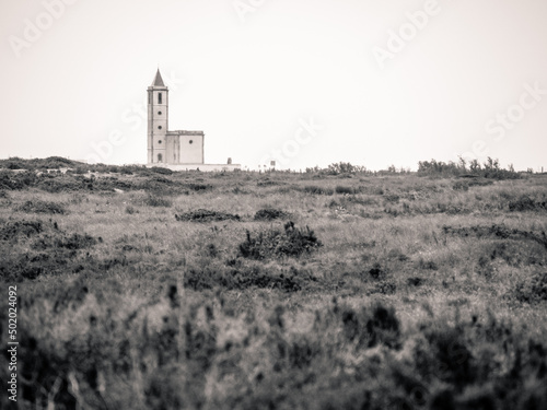 Fotografía en blanco y negro de una iglesia con un primer plano desenfocado de vegetación.